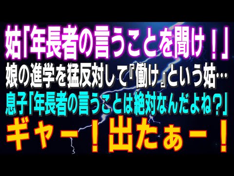 【スカッとする話】姑「年長者の言うことを聞け！」娘の進学を猛反対して『働け』という姑…息子「年長者の言うことは絶対なんだよね？」ギャー！デター！