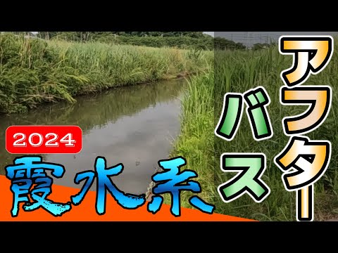 【バス釣り】【霞ヶ浦】小規模水路_流入河川_横利根川