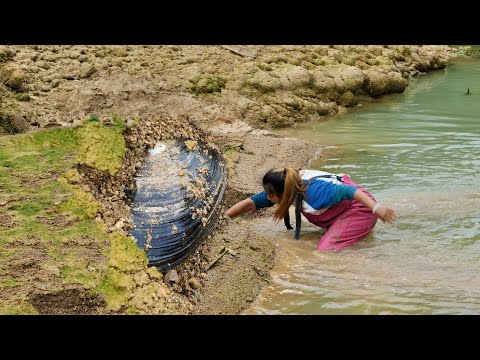 The girl dug out the sleeping clam, and the pearl buried for a hundred years was so beautiful