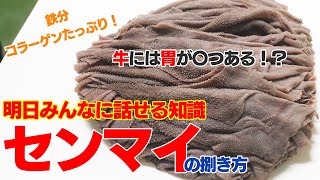 【ぞうきん！？センマイです】センマイの魅力たっぷりお伝えします！