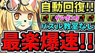 【最楽】自動回復！両サレ裏修羅ねこ！パズル教室なし！ダンボ9 ランク上げ編成！代用・立ち回り解説！サレサレ裏修羅と同等の経験値【パズドラ】