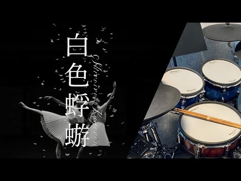 Aimer「白色蜉蝣」Drum Cover (with lyrics)