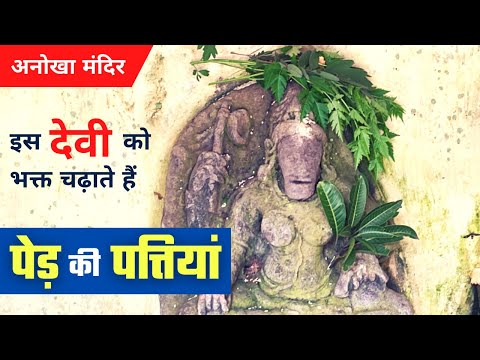 इस देवी को चढ़ाई जाती है पेड़ों की पत्तियाँ | Dalkhai Mata मंदिर Dantewada, डालखाई माता का अनोखा मंदिर