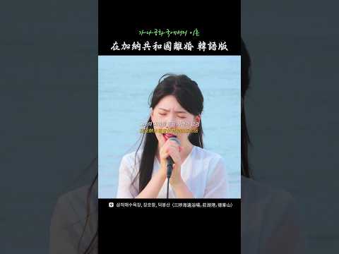 成爲韓劇ost的《在加納共和國離婚》韓語版 #cover #samcheok