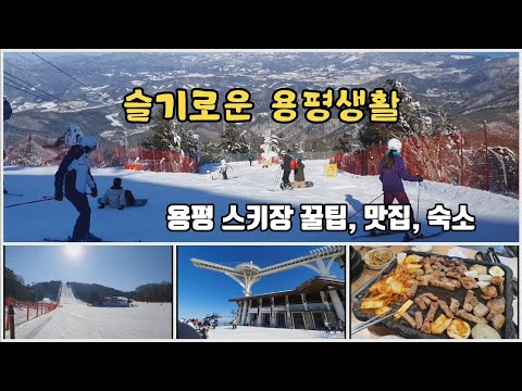 Information about Yongpyeong Ski Resort, Accommodation, and Restaurant!_ #Korea Ski Resort