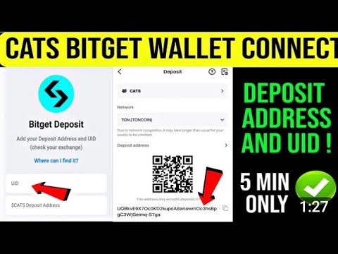 How to connect bitget wallet with cats