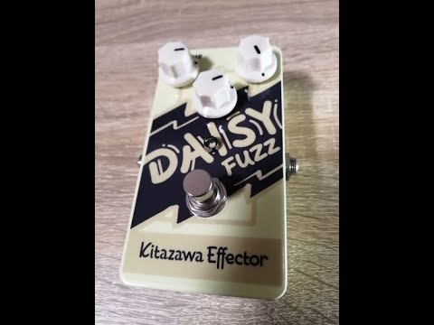 Kitazawa effector / Daisy Fuzz