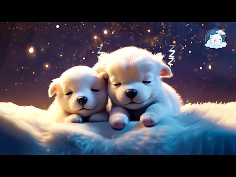 Relaxing Piano Sleep Music • Healing Stress, Reducing Deep Sleep