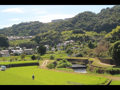 2024年 総集編 / Auld Lang Syne