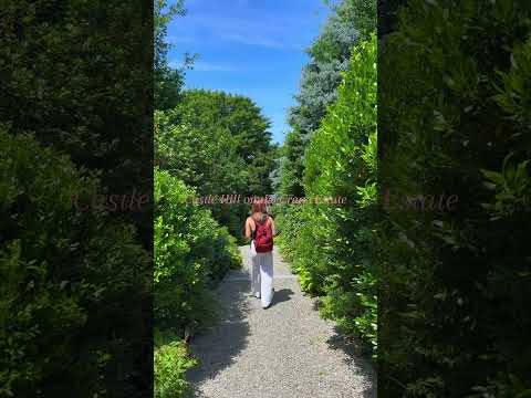 Summer Garden🏰 #boston #travel #shortsfeed #shortvideo #shorts #summer #shortsviral #vlogger