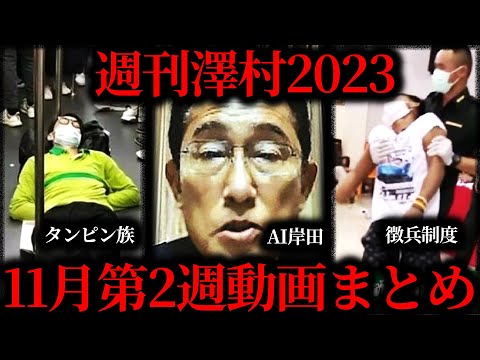 【週刊澤村2023】11月第2週たっくー動画まとめ【たっくー切り抜き】