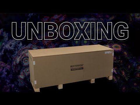 INFINIA Aquarium Unboxing: First Impressions & Setup Plans - Year Of The Reef EP 01