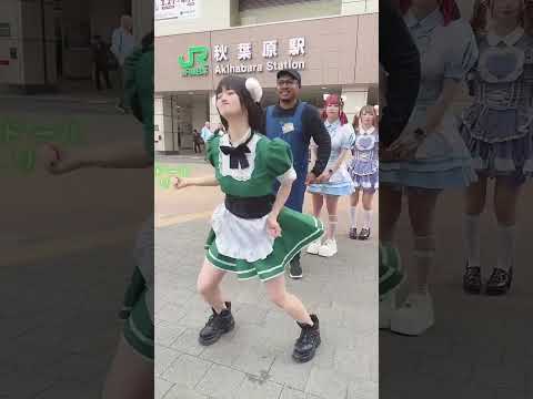 どのコンカフェ嬢が好み？ #chinadance #秋葉原 #メイドカフェ #コンカフェ #shorts