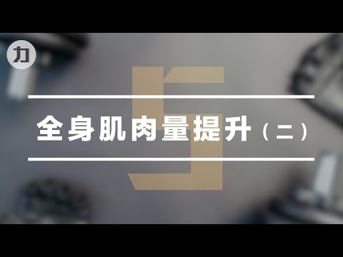 【Day5】全身肌肉量提升（二）