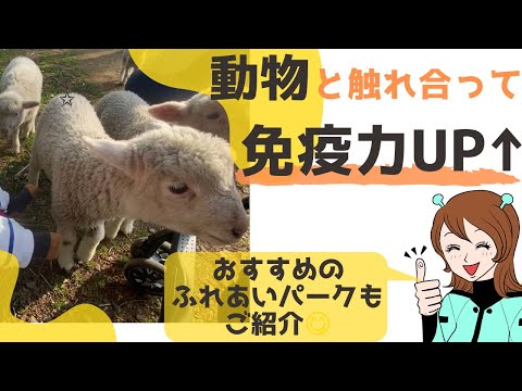 幼児の免疫力を劇的UPできる行動について解説♪withコロナ時代に必見です！