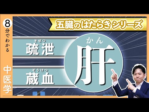 五臓六腑の【肝】｜イメージでわかる「五臓」のはたらき【9割が知らない中医学】