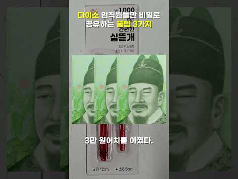 다이소 임직원들만 비밀로 공유하는 꿀템