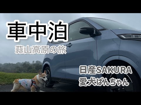 【車中泊】日産SAKURA　愛犬ぱんちゃん　車中泊　岡山県　蒜山高原の旅