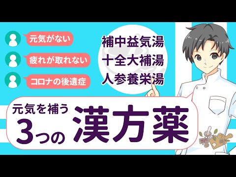 【体力回復】補中益気湯・十全大補湯・人参養栄湯ってどんな漢方薬？特徴や使い分け【薬剤師が解説】