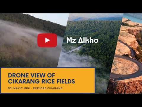 Drone view of Cikarang Rice Fields