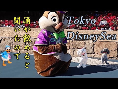 夢の国初心者が行く！素人目線の東京ディズニーシー　前編