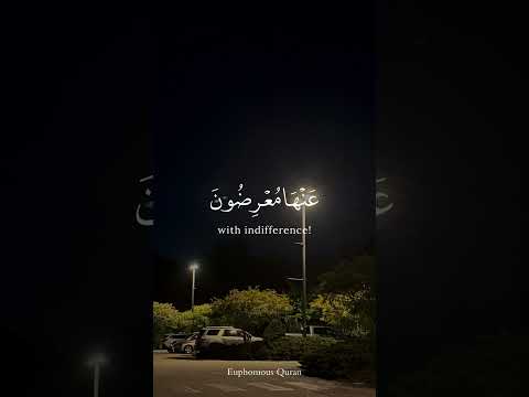 Beautiful Quran Recitation | Peaceful and Relaxing 🕊️