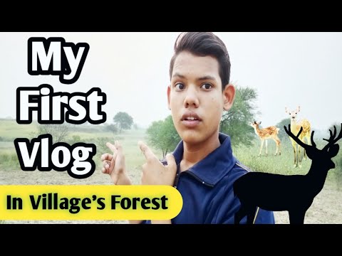 My First Vlog ❤️| In Village's Forest। अगर आप गांव के Vlogs देखना चाहते हो?