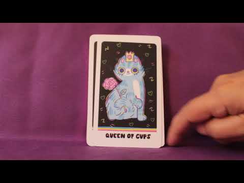 The Weird Cat Tarot Full Flip Through