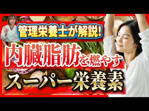 【管理栄養士が解説】内臓脂肪を燃やす！今日から摂ってほしいスゴイ栄養素