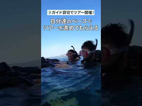 【現地在住スタッフが実際に体験！】沖縄本島人気スポット青の洞窟シュノーケリングツアー！#shorts #シュノーケリング#青の洞窟#沖縄