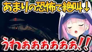 恐怖のあまり大絶叫するあくたん【ホロライブ切り抜き/湊あくあ】