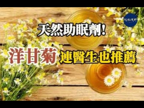 【健康】天然助眠劑! 洋甘菊功效連醫生也推薦 【文化視野】