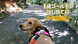 はじめてのプチ登山♪/ Dog in nature