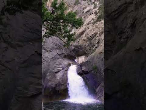 Kings Canyon National Park! #travel #california #ytshorts #shorts #hiking #summer #outdoors #ytshort