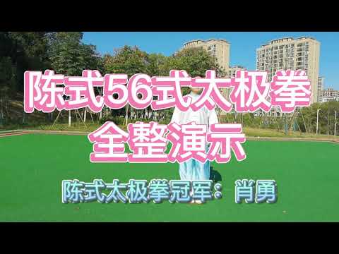 陈式56式太极拳（口令版），四项全能冠军演示，两个字：精彩