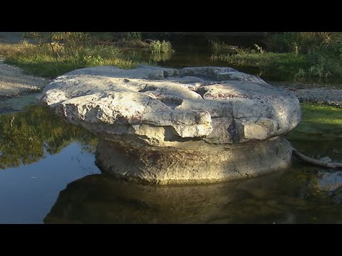 The Round Rock In Round Rock (Texas Country Reporter)