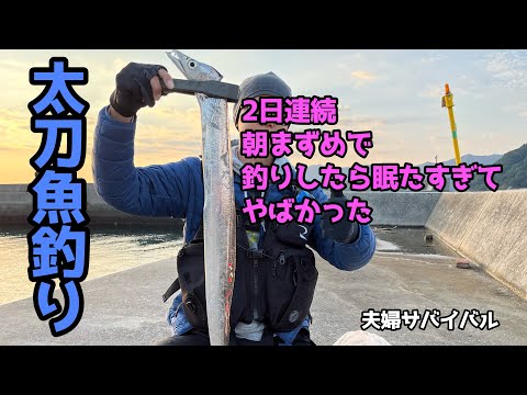 【天草釣り】太刀魚釣り〜２日連続朝まずめ釣行&釣り場のゴミ拾い