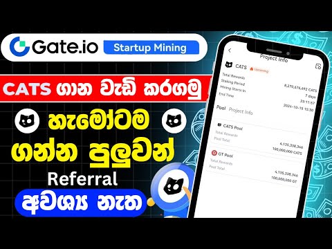 Cats gate io startup mining event | gate io cats event