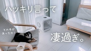 画期的！超便利&おしゃれアイテム3選✨ペットグッズ｜デスク｜家電｜オーブンレンジ