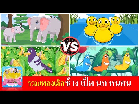 รวมเพลงเด็ก ช้างช้างช้าง  เป็ดอาบน้ำในคลอง  นกเขาบินข้ามมเขา  หนอนผีเสื้อ