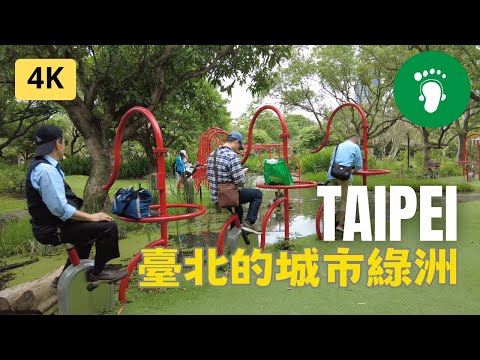 [ 4K ] Taipei | 來探訪一下臺北市中心的都會叢林 | Taiwan 2023 #dji #djipocket2 #djipocket2