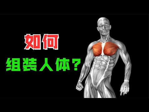 如果想要组成一个人需要多少成本？它所需的元素又有那些呢？