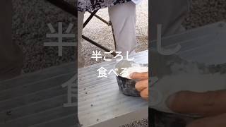 キャンプで半ごろし食べる