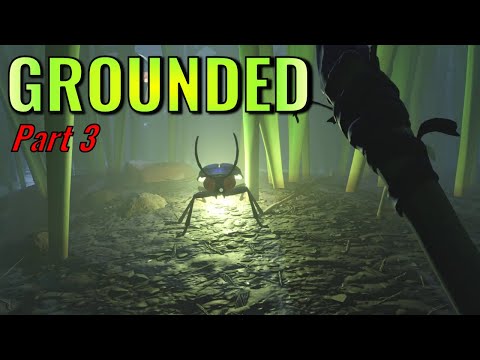 Grounded - Part 3: The Second Base