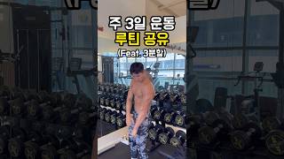 주 3일 운동 루틴 공유 (3분할 루틴)