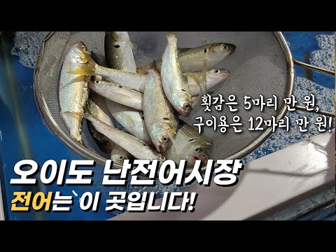 오이도 난전시장 전어, 대하, 꽃게 시세(오이도 수산물 직판장)