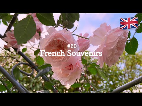 #60 French souvenirs | The state of the garden for the first time in a week following heavy rain