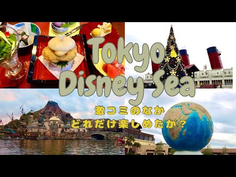 2023年11月クリスマスシーズンのディズニーシー