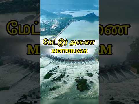 மேட்டூர் அணை 🌊🛡️✨#tamilshorts#tamil#youtubeshorts#tamilhistory#metturdam#salem#viralvideo#facts#info