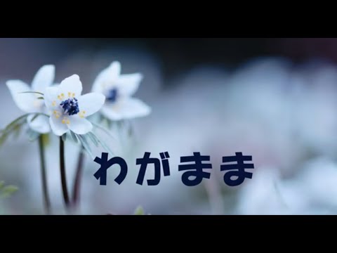 わがまま　milkye326　　(オリジナル　角川 博)